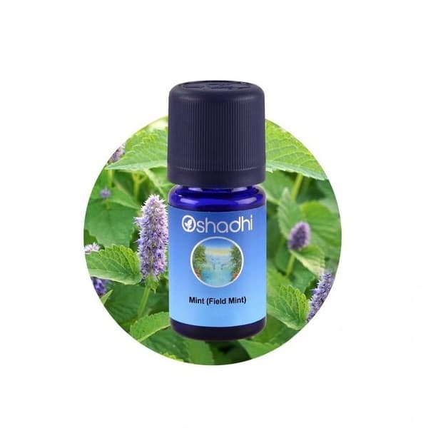 Oshadhi Menta Poljska (mentha arvensis) eterično ulje 10ml
