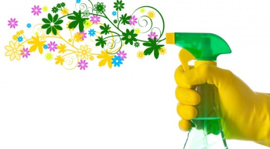 ČIŠĆENJE U SKLADU S PRIRODOM