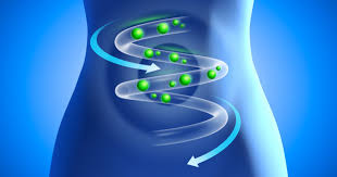 DOBITNI DVOJAC (1) : PREBIOTICI I PROBIOTICI