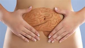 DOBITNI DVOJAC (2): MOZAK I PROBAVNI TRAKT