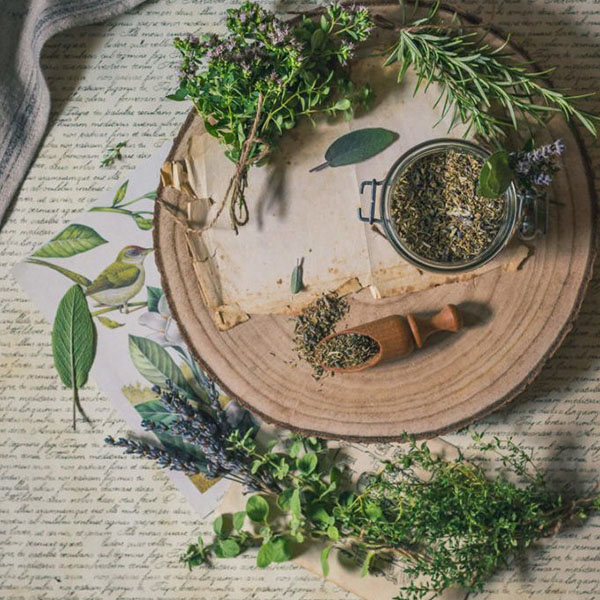 maslina beograd zacini