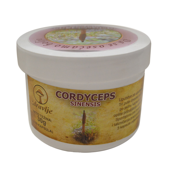 Cordyceps Sinensis 100 kapsula