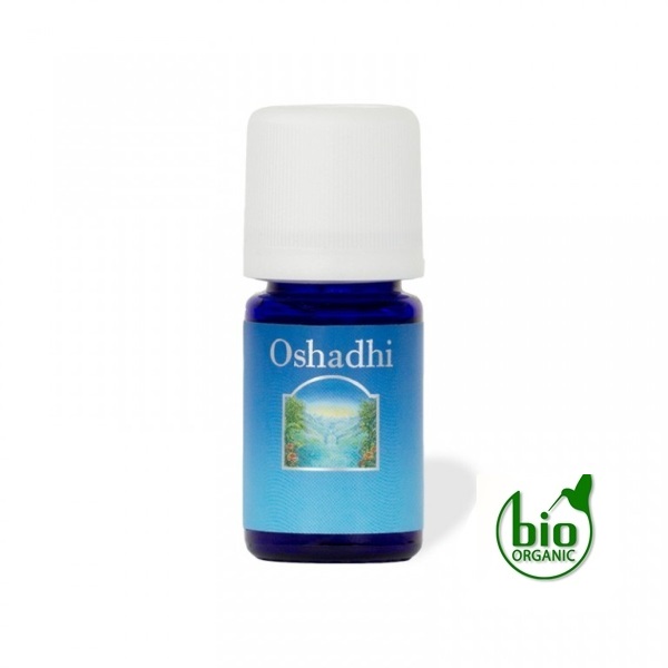 Oshadhi Eterično ulje PETITGREJN Bigard 10 ml