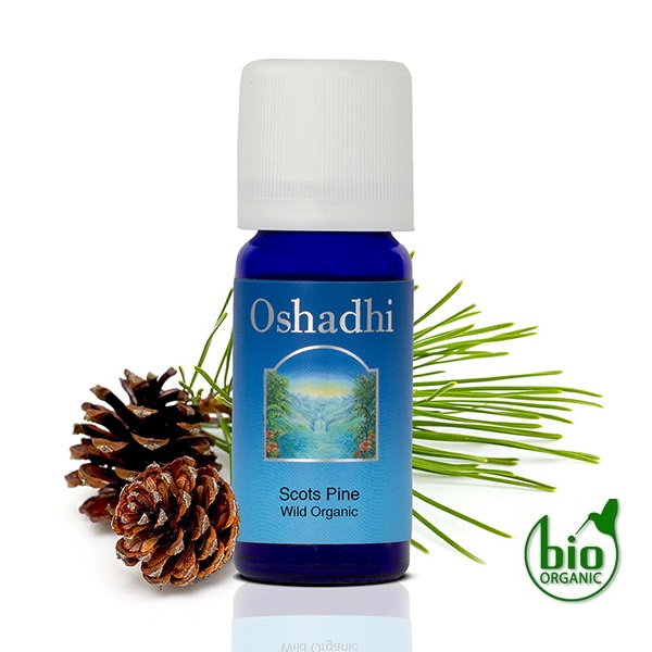 Oshadhi Eterično ulje BOR škotski 10ml