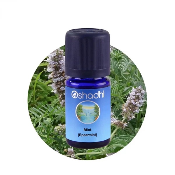 Oshadhi Eterično ulje MENTA SPEARMINT 10ml