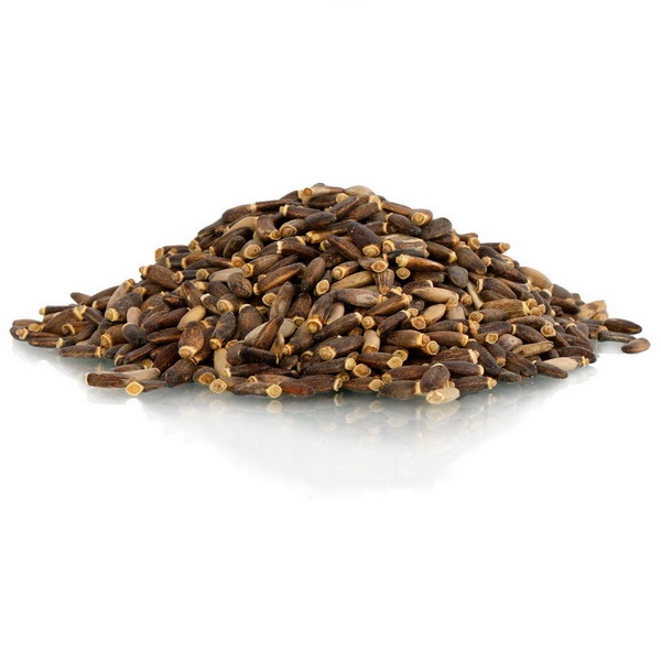 Gujina trava seme (sikavica) - Rinfuz ADONIS