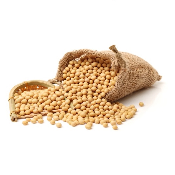 Sirova Soja organic 1kg