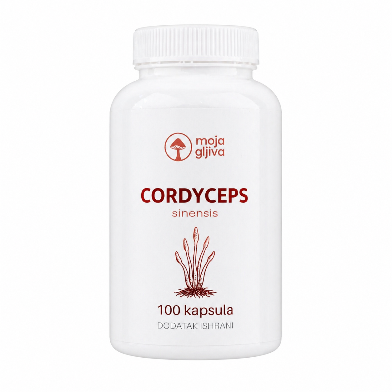 Cordyceps sinesis kapsule 100 komada Zdravlje